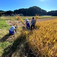2020/11/09 大楠農産へ東京から農業体験のサムネイル