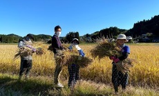 2020/11/09 大楠農産へ東京から農業体験