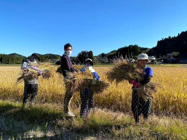 2020/11/09 大楠農産へ東京から農業体験のサムネイル