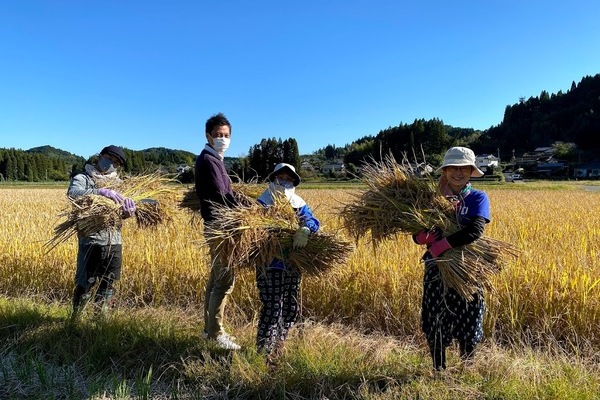 2020/11/09 大楠農産へ東京から農業体験