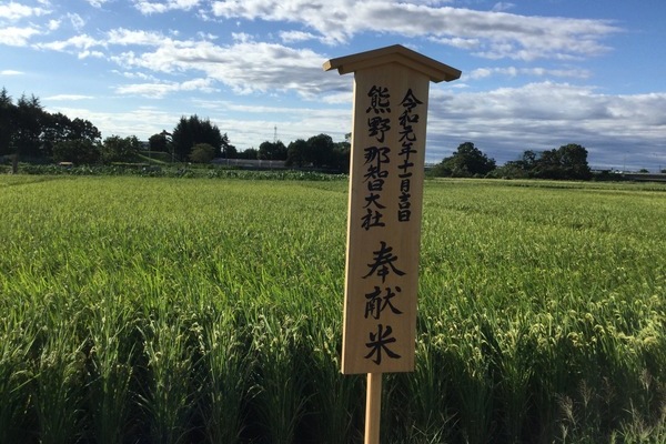 2019/09/12~14 川越Ｖ社のきぬむすめ