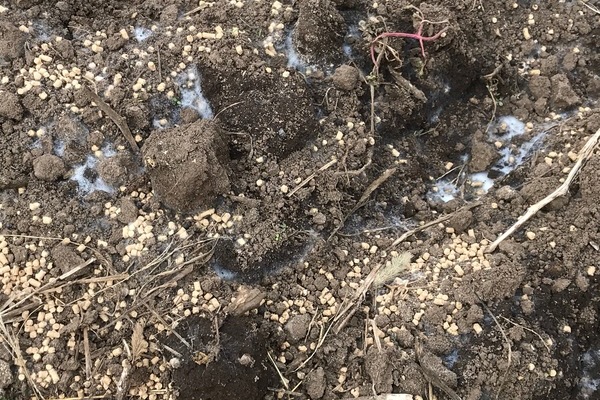 2018/10/15~22 埼玉県農業法人支援