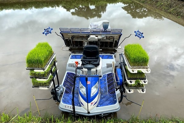 2020/06/27 大雨の中の田植え