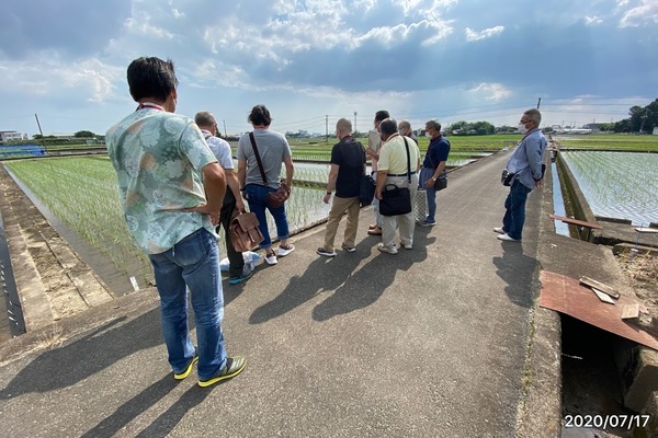 2020/07/17 農研機構新作品種の説明会