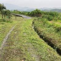 2020/07/26 筑前大分の耕作放棄地の草刈り奉仕のサムネイル