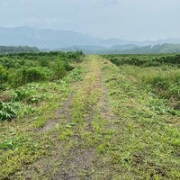 2020/07/26 筑前大分の耕作放棄地の草刈り奉仕のサムネイル