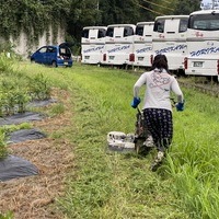 2020/09/04 刈り払い機実践講のサムネイル