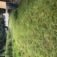 2020/09/04 刈り払い機実践講のサムネイル