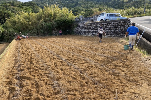 耕作放棄地再生　SEASON-１