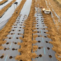 耕作放棄地再生　SEASON-１のサムネイル