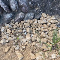 耕作放棄地再生　SEASON-１のサムネイル