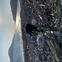 耕作放棄地再生　SEASON-２のサムネイル