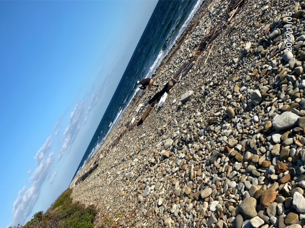 耕作放棄地再生　SEASON-２のサムネイル