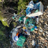 耕作放棄地再生　SEASON-２のサムネイル