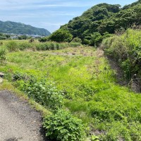 こしき島農地再生project始動のサムネイル