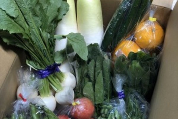 季節の野菜　5000円パック