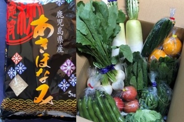 季節の野菜　10000円パック 「野菜とお米のset」